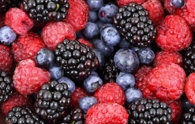 С „Цветно“ хранене природата ни помага да сме здрави  