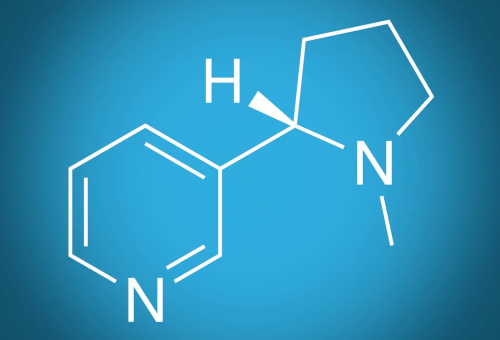  Знаем ли достатъчно за никотина? 