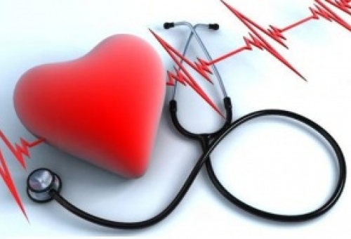 Над 65% от хората у нас умират от сърдечносъдови заболявания 